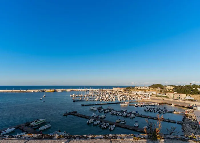 度假居 Alice's House