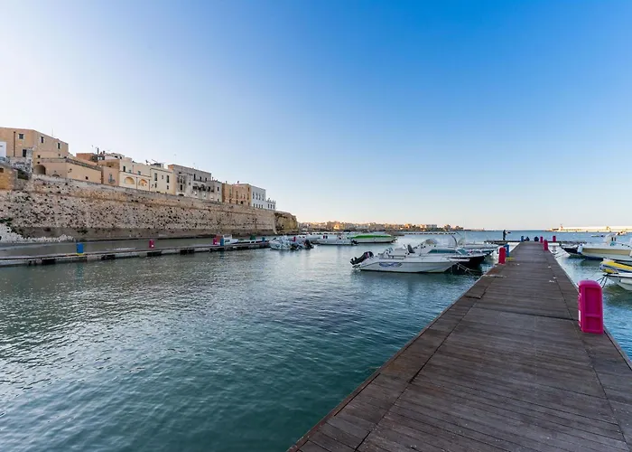 Alice's House 펜션